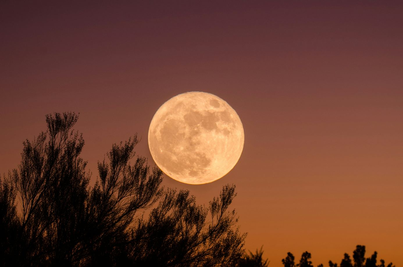 Full Moon Ceremony