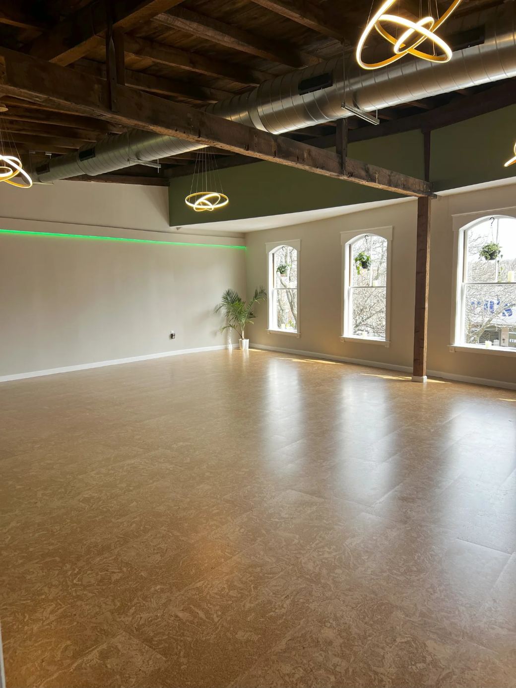 RISEilience Wholehearted Yoga & Wellness Sanctuary | Phoenix Cafe image 3