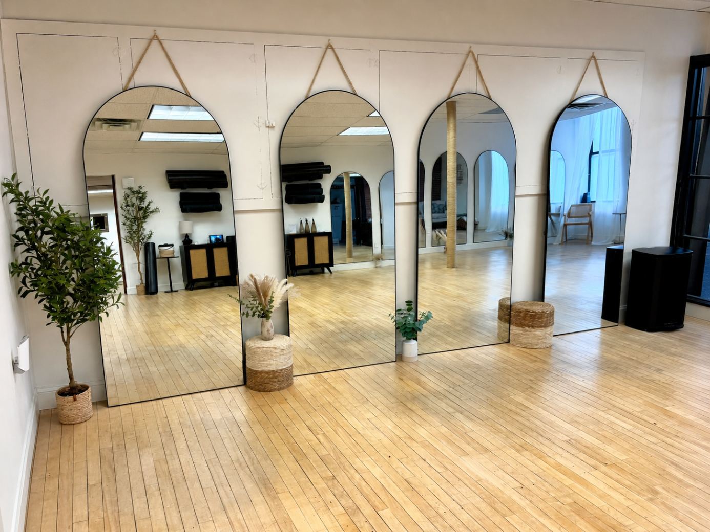 Zest the Collective